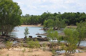 Mitchell River (Queensland) httpsuploadwikimediaorgwikipediacommonsthu