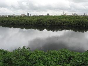 Mithi River httpsuploadwikimediaorgwikipediacommonsthu