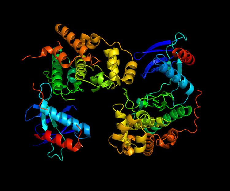 Mitogen-activated protein kinase 9