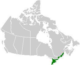 Mixedwood Plains Ecozone (Canada) Mixedwood Plains Ecozone Canada Wikipedia