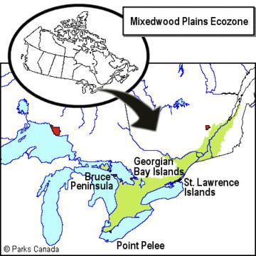 Mixedwood Plains Ecozone (Canada) mrnagribiankoecozones 2 Mixedwood Plains