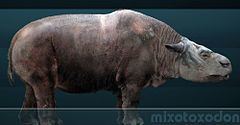 Mixotoxodon httpsuploadwikimediaorgwikipediacommonsthu