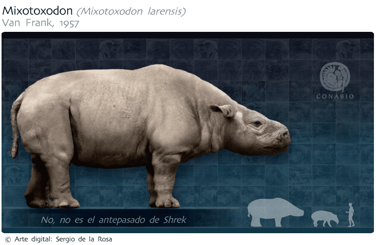 Mixotoxodon valentint Largest prehistoric animals Vol 1