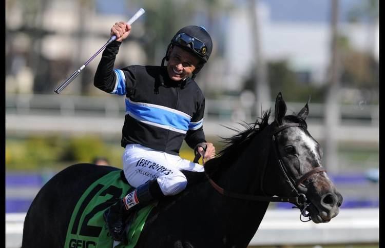 Mizdirection Jim Rome39s Mizdirection From Breeders39 Cup Victory To 27 Million Sale