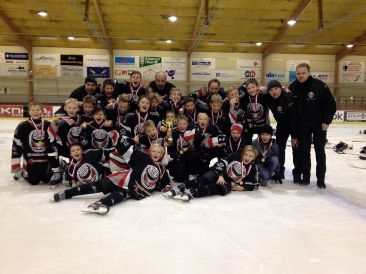 Mjölby HC Dagens DM finaler fr U12 och U14 stergtlands Ishockeyfrbund
