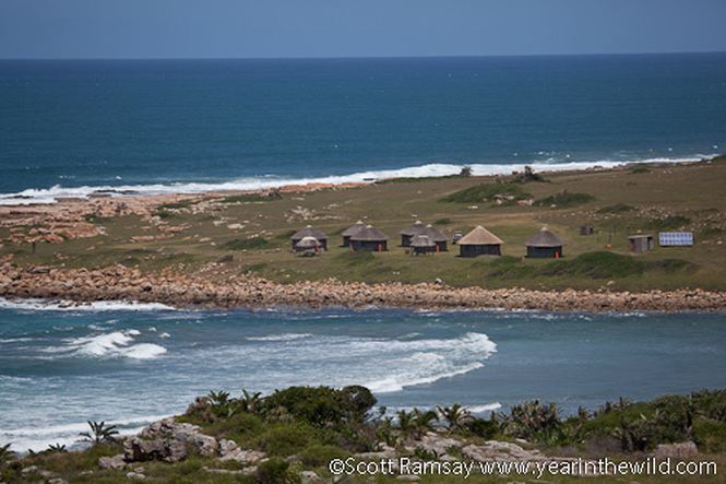 Mkhambathi Nature Reserve Find what you39re looking for at Mkhambathi reserve Wild Coast