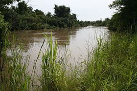 Mékrou River httpsuploadwikimediaorgwikipediacommonsthu