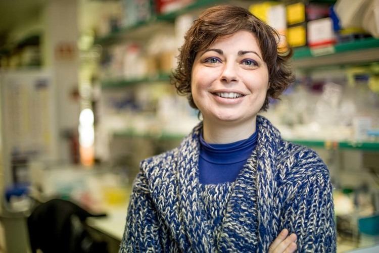 Mónica Bettencourt-Dias Investigadores da Gulbenkian descobrem origem da infertilidade