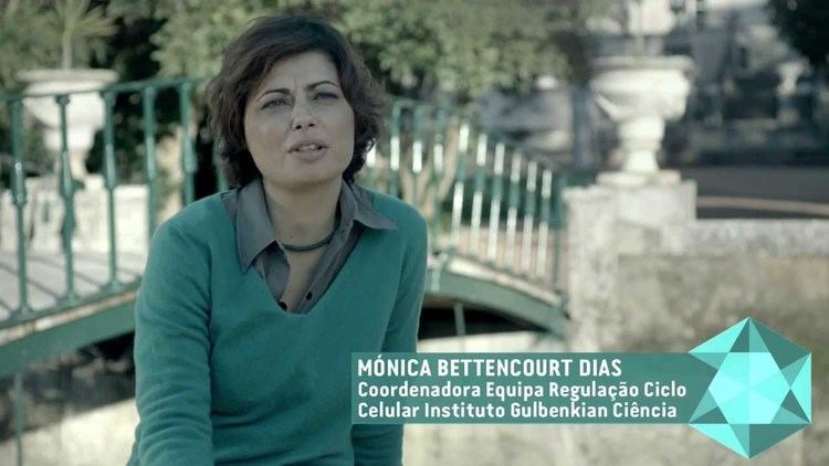 Mónica Bettencourt-Dias Mnica Bettencourt Dias 5 MINUTOS COM UM CIENTISTA YouTube