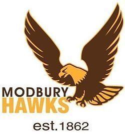 Modbury Football Club httpsuploadwikimediaorgwikipediaenthumb9