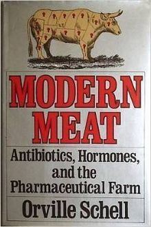 Modern Meat httpsuploadwikimediaorgwikipediaenthumbd