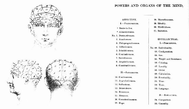 Modularity of mind Modularity in the Nervous System