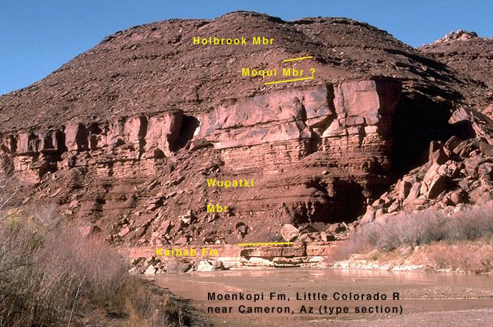 Moenkopi Formation Triassic Fluvial Systems Colorado Plateau