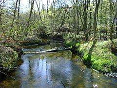 Mogilica (river) httpsuploadwikimediaorgwikipediacommonsthu