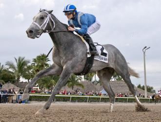 Mohaymen Mohaymen impresses again in Holy Bull Stakes Daily Racing Form