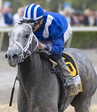 Mohaymen Mohaymen sets stage for Florida Derby showdown by winning Fountain