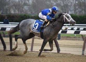 Mohaymen McLaughlin gets his Remsen win with Mohaymen Daily Racing Form