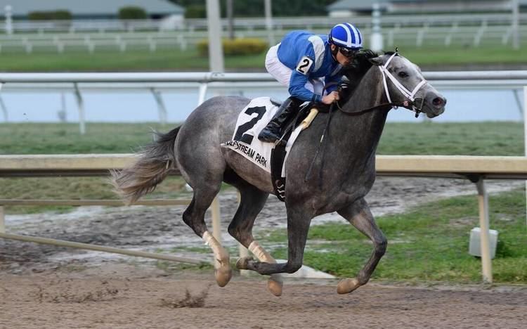 Mohaymen Mohaymen lives up to his name with a dominating victory in