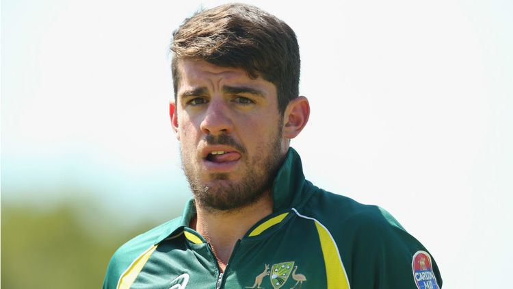 Moisés Henriques Cricket Australia call up Moises Henriques after Shane Watson