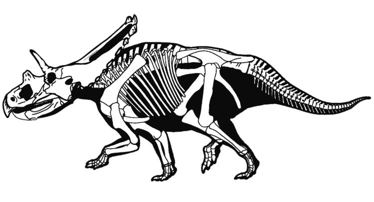 Mojoceratops Mojoceratops Wikipedia