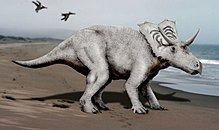 Mojoceratops httpsuploadwikimediaorgwikipediacommonsthu