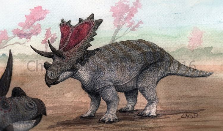 Mojoceratops Prehistoric Beast of the Week Mojoceratops Prehistoric Beast of