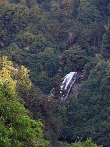 Mokau Falls httpsuploadwikimediaorgwikipediacommonsthu