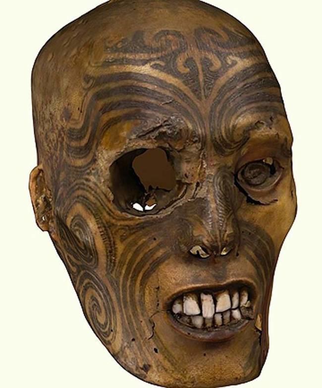 Mokomokai Mokomokai The Preserved Heads of Maori Tribespeople