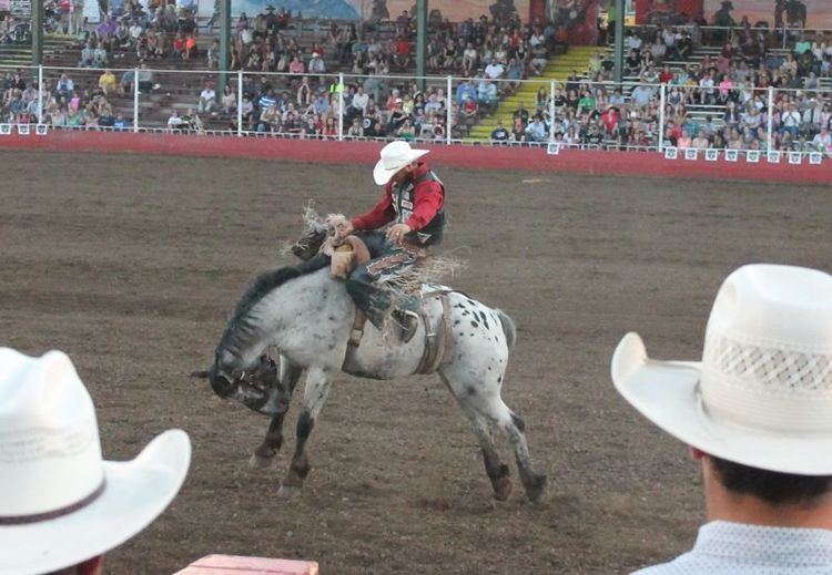 Molalla Buckeroo Oregon Local News Russell Cardoza Spencer Mitchell set standard