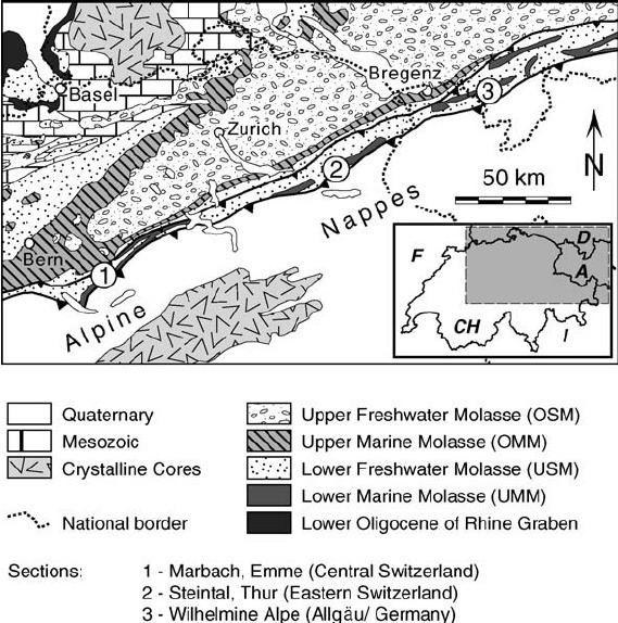 Molasse basin Geological overview of the western part of the Molasse basin and