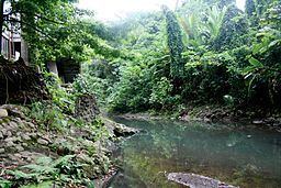 Molawin River httpsuploadwikimediaorgwikipediacommonsthu