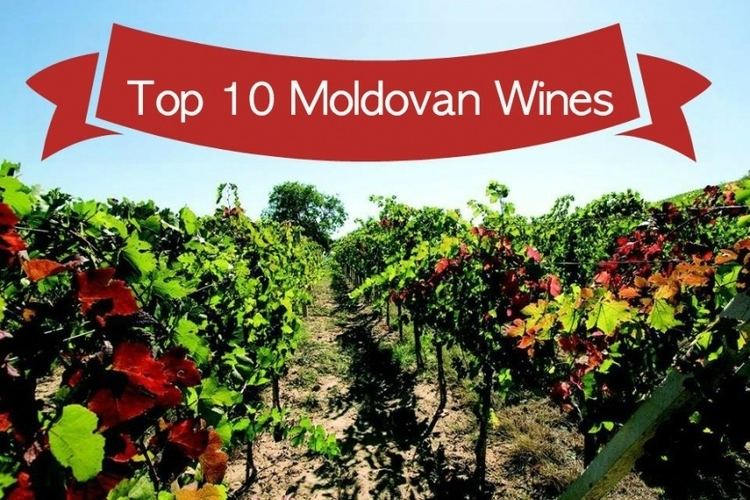 Moldovan wine Top 10 Moldovan Wines Blog Winerist