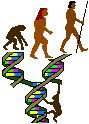Molecular anthropology httpsuploadwikimediaorgwikipediacommons66