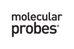 Molecular Probes httpswwwthermofishercomcontentdamLifeTech