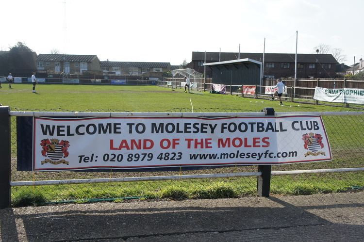 Molesey F.C. Molesey FC Tales From The Pigeon Stands