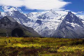 Moming Glacier httpsuploadwikimediaorgwikipediacommonsthu