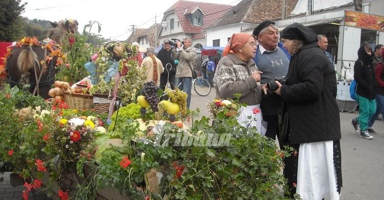 Moșna, Sibiu Srbtoare pe Trnave Festivalul Verzei la Mona quotMarian Negrea