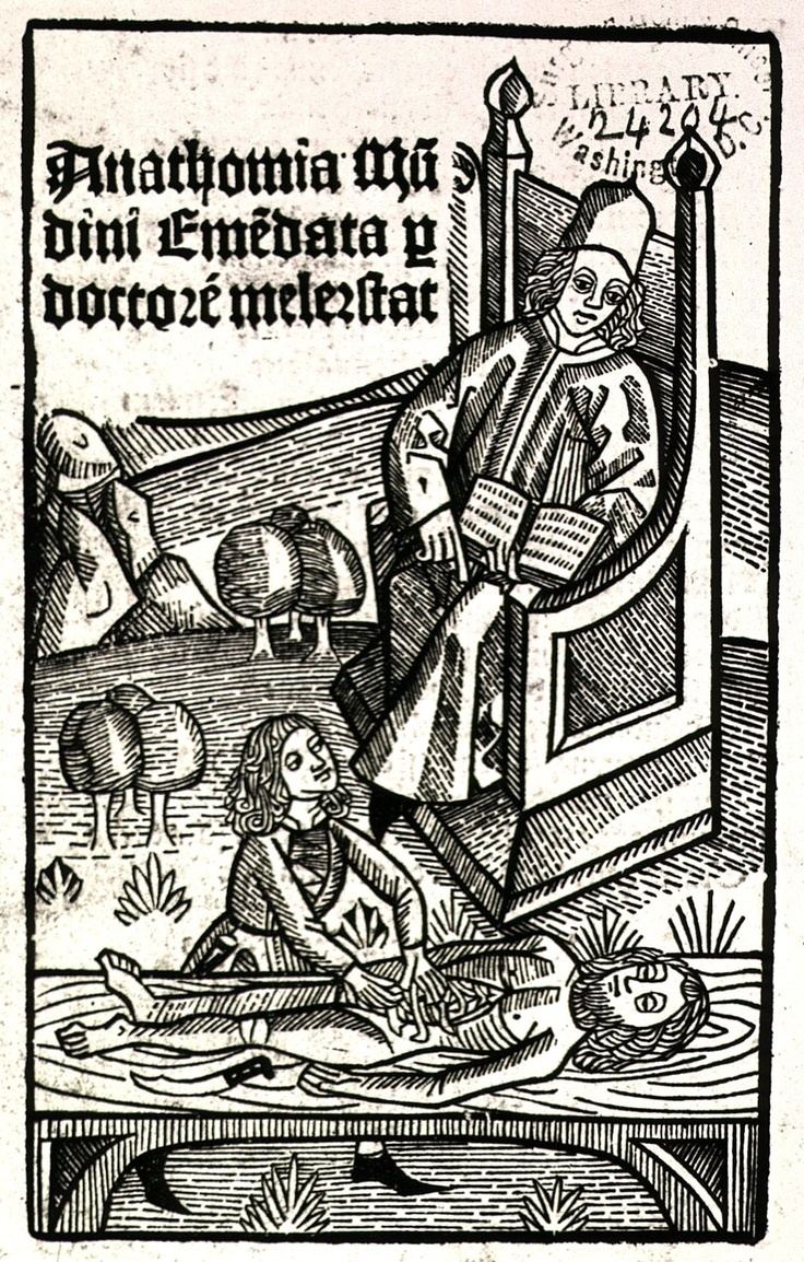 Mondino de Liuzzi Author Mondino de Luzzi ca 12701326 Book Anatomia