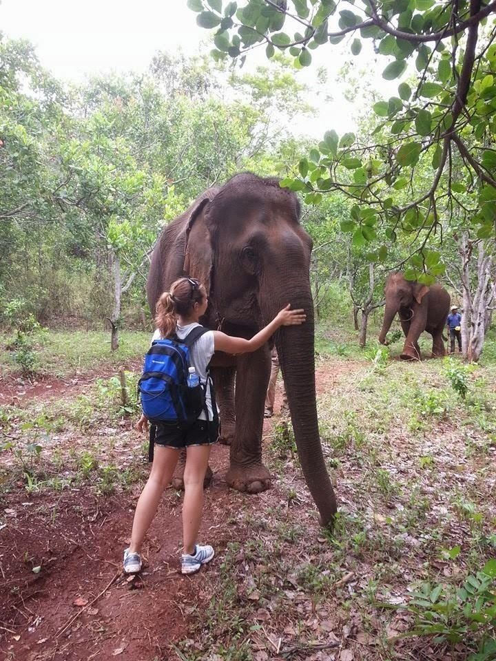 Mondulkiri Province Culture of Mondulkiri Province