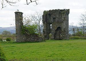 Mongavlin Castle httpsuploadwikimediaorgwikipediacommonsthu
