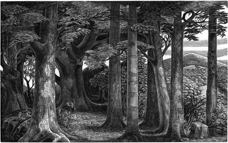 Monica Poole wood engravings on Pinterest Wood Engraving Colin O