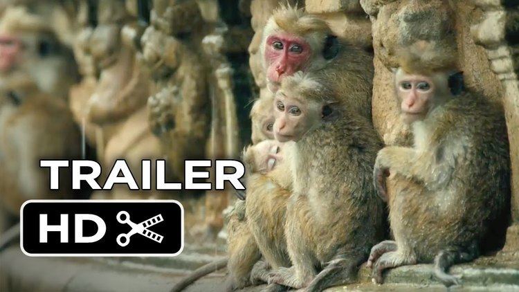 Monkey Kingdom Monkey Kingdom Official Trailer 1 2015 Disneynature Documentary