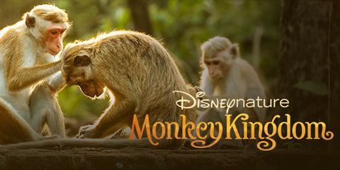 Monkey Kingdom Monkey Kingdom Official Site Disneynature