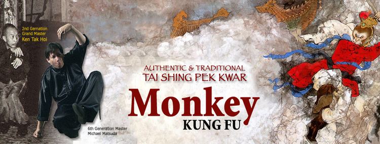 Monkey Kung Fu Monkey Kung Fu Official Website The Official Website for Monkey