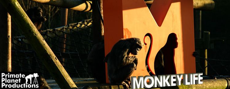 Monkey Life (TV series)