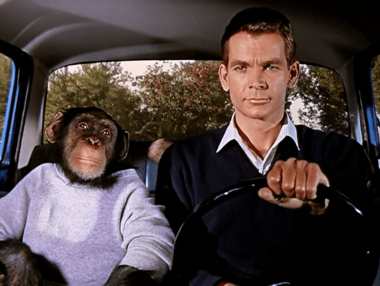 Monkeys, Go Home! Cinema 52 Worst Disney 52 Monkeys Go Home