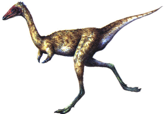 Mononykus wwwdinosaurworldcomfeathereddinosaursspecies