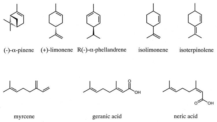 Monoterpene Geranic Acid Formation an Initial Reaction of Anaerobic Monoterpene