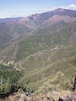 Mont Aigoual httpsuploadwikimediaorgwikipediacommonsthu