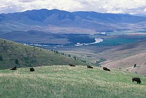 Montana Valley and Foothill grasslands httpsuploadwikimediaorgwikipediacommonsthu